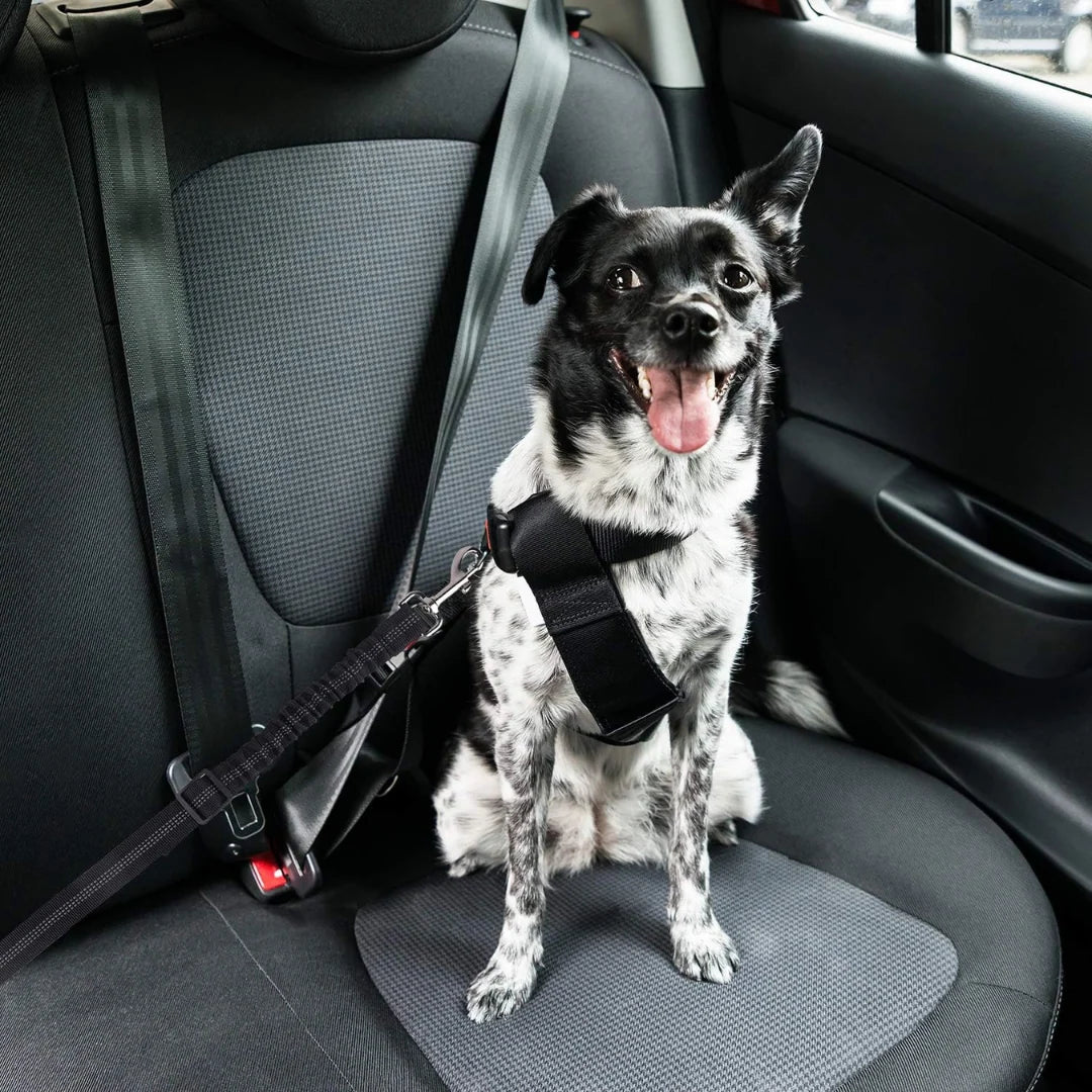 PRO Dog Seatbelt