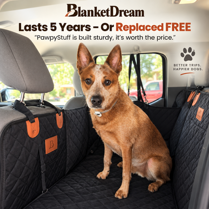 BlanketDream - The Backseat Bed
