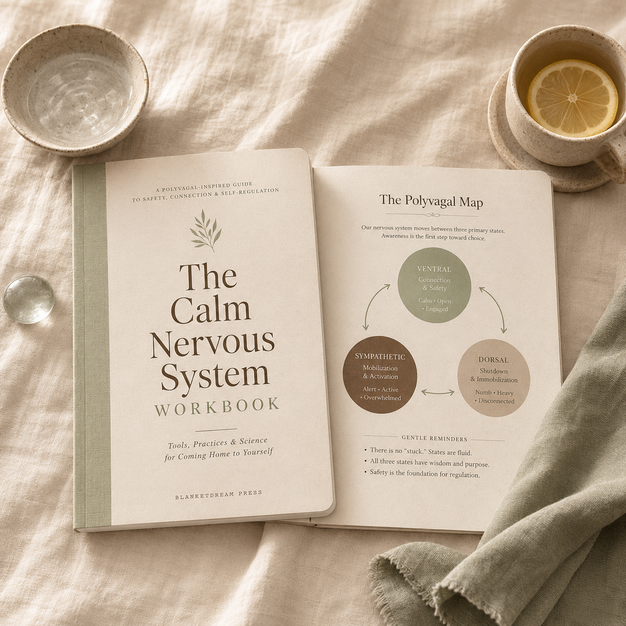 The Calm Nervous System Workbook